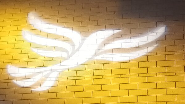 Lib Dem logo bird projected on blockwork