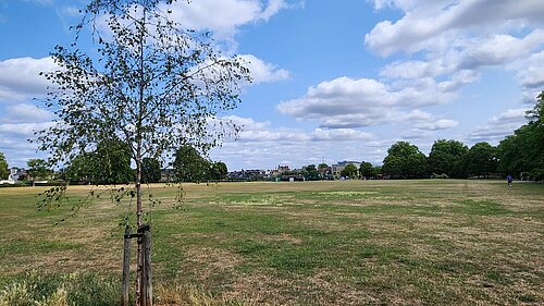 Haydons Recreation Ground