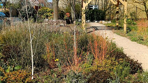 Pocket Park