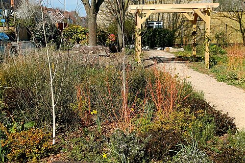 Pocket Park